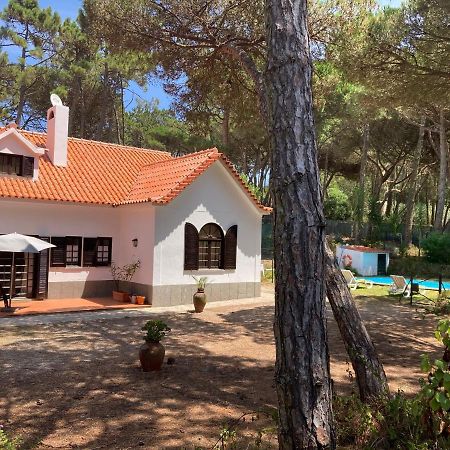 Moradia No Pinhal Com Piscina - Espaco E Privacidade Para As Suas Ferias! Sintra Bagian luar foto
