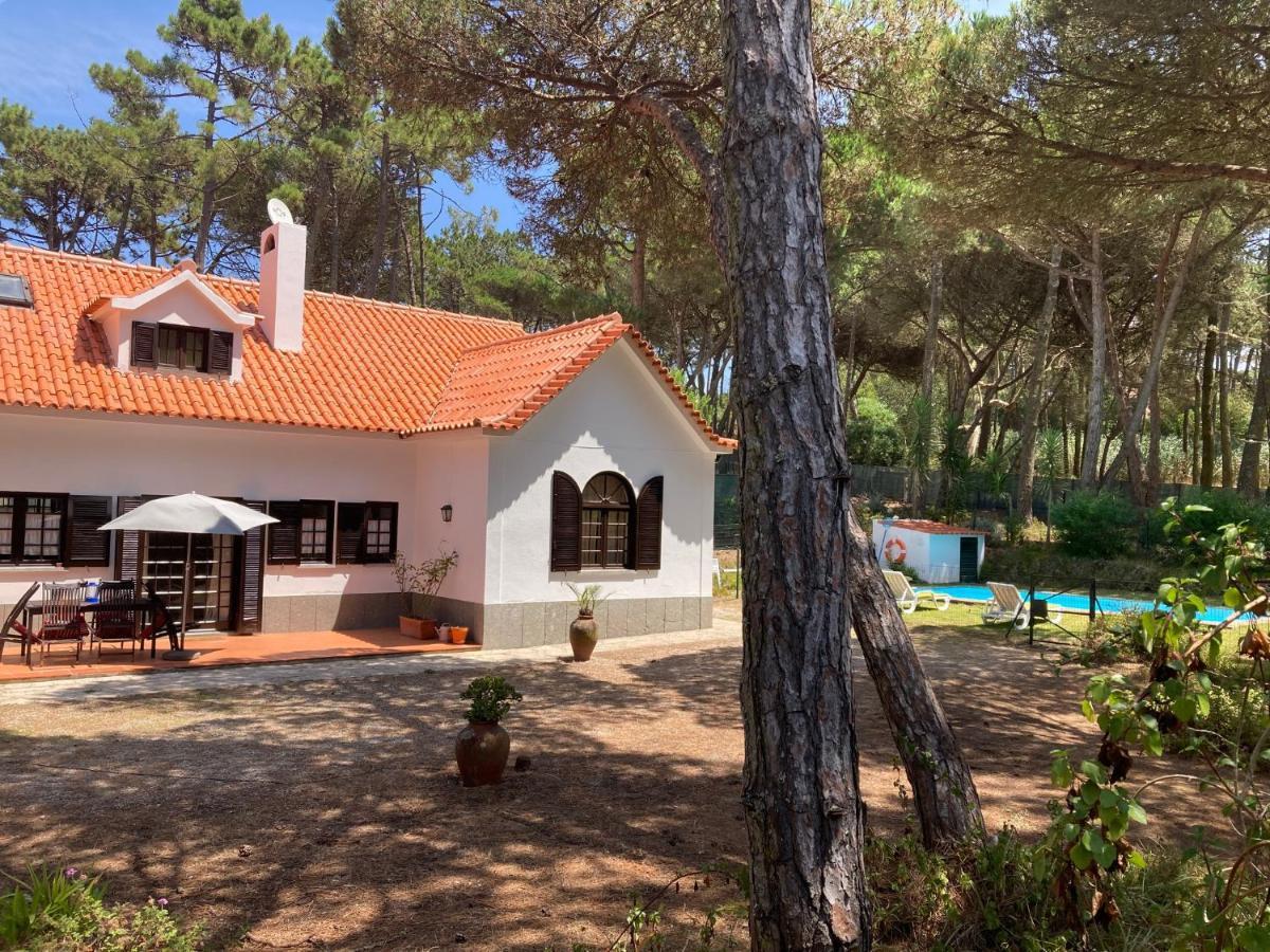 Moradia No Pinhal Com Piscina - Espaco E Privacidade Para As Suas Ferias! Sintra Bagian luar foto