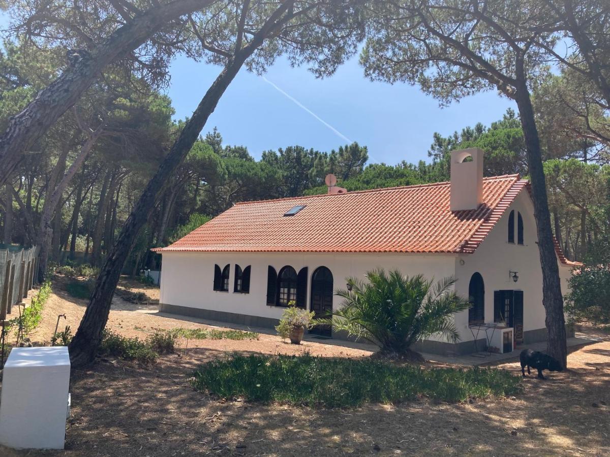 Moradia No Pinhal Com Piscina - Espaco E Privacidade Para As Suas Ferias! Sintra Bagian luar foto