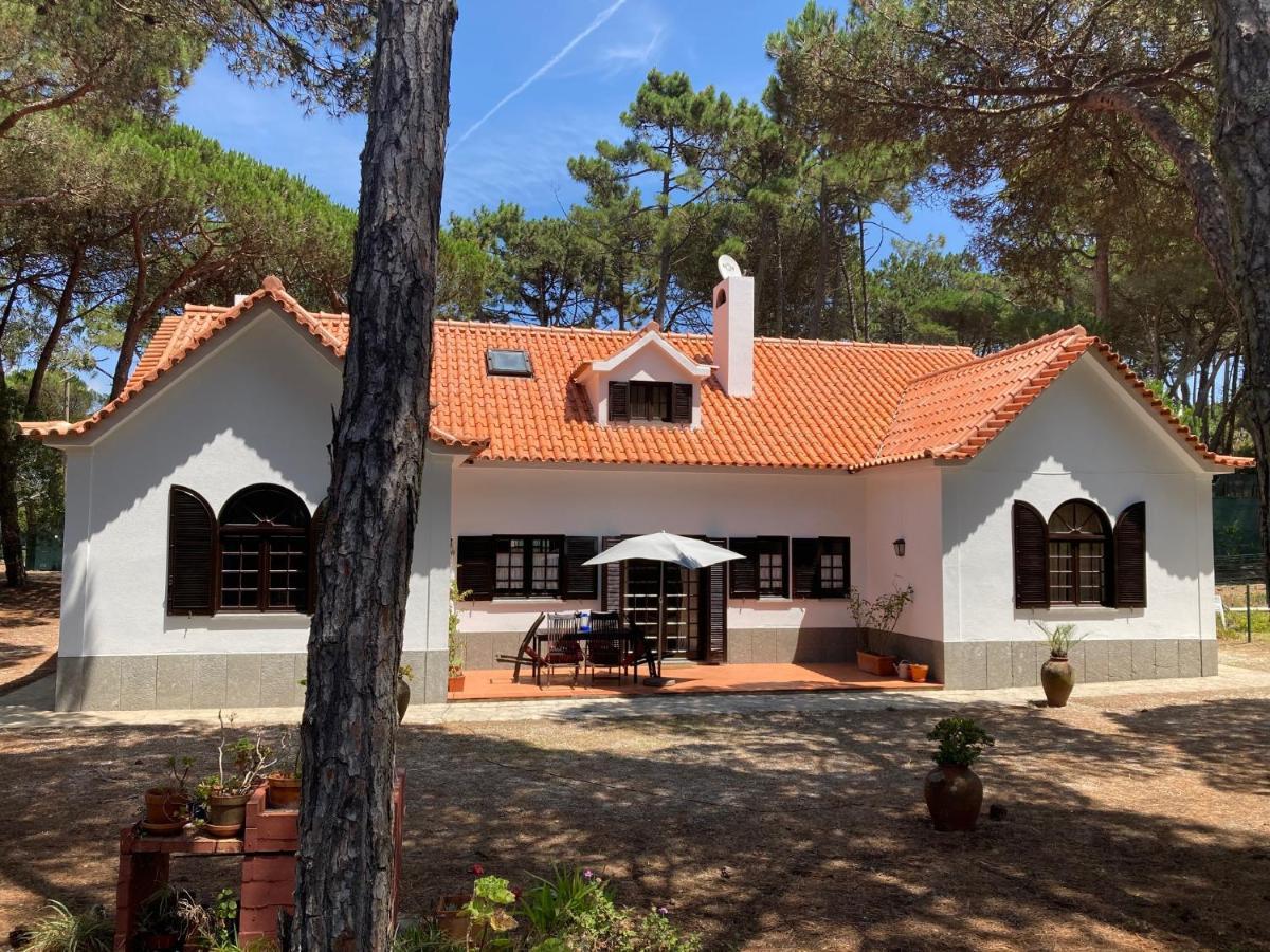 Moradia No Pinhal Com Piscina - Espaco E Privacidade Para As Suas Ferias! Sintra Bagian luar foto