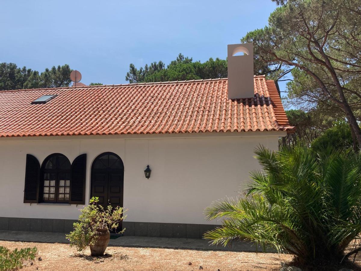 Moradia No Pinhal Com Piscina - Espaco E Privacidade Para As Suas Ferias! Sintra Bagian luar foto